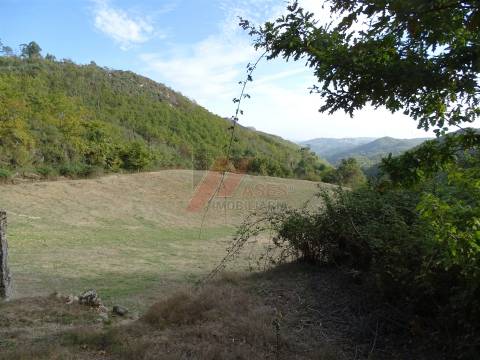 Moradia Rústica e Terreno!