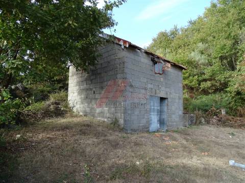 Moradia Rústica e Terreno!