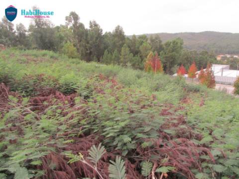 Lote de Terreno  Venda em Abraveses,Viseu