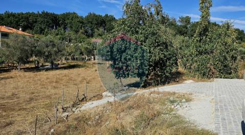 Armazém  Venda em Repeses e São Salvador,Viseu