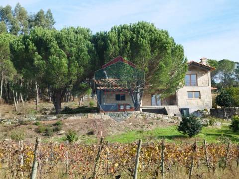 Quinta  Venda em Silgueiros,Viseu