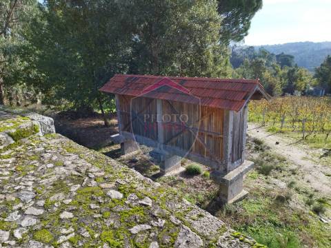Quinta  Venda em Silgueiros,Viseu