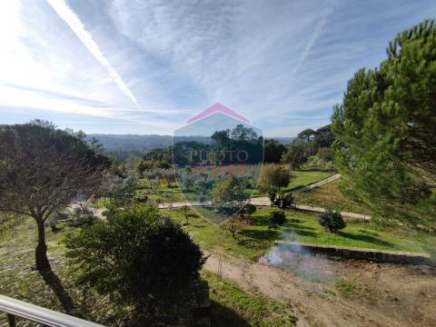Quinta  Venda em Silgueiros,Viseu