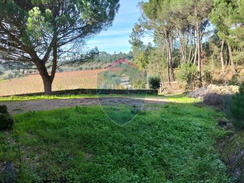 Quinta  Venda em Silgueiros,Viseu
