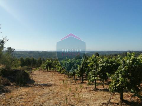 Quinta  Venda em Silgueiros,Viseu