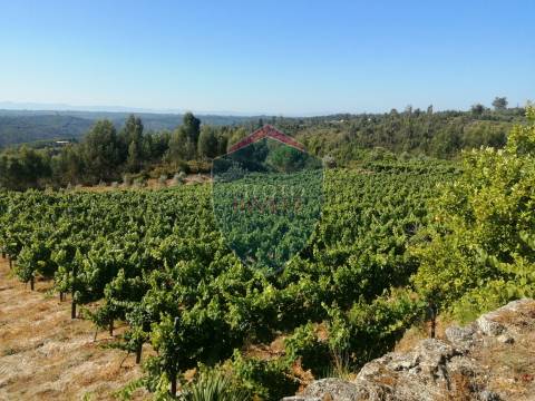 Quinta  Venda em Silgueiros,Viseu