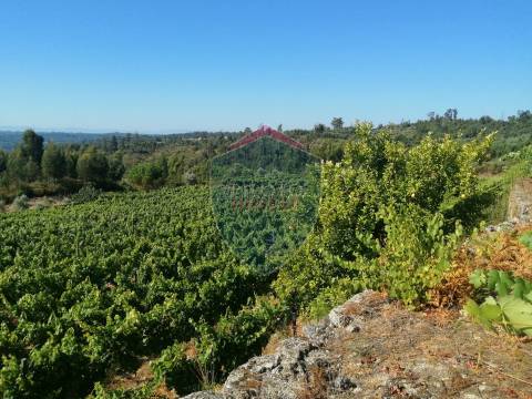 Quinta  Venda em Silgueiros,Viseu
