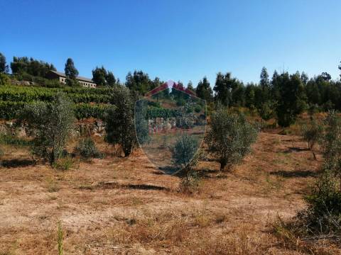 Quinta  Venda em Silgueiros,Viseu