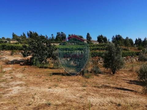 Quinta  Venda em Silgueiros,Viseu
