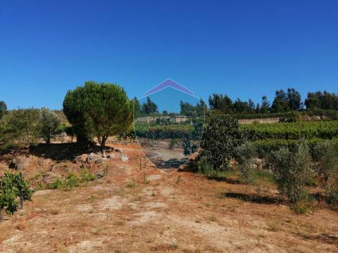 Quinta  Venda em Silgueiros,Viseu