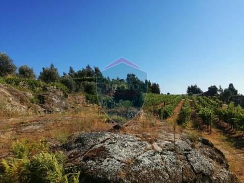 Quinta  Venda em Silgueiros,Viseu