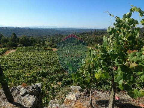 Quinta  Venda em Silgueiros,Viseu