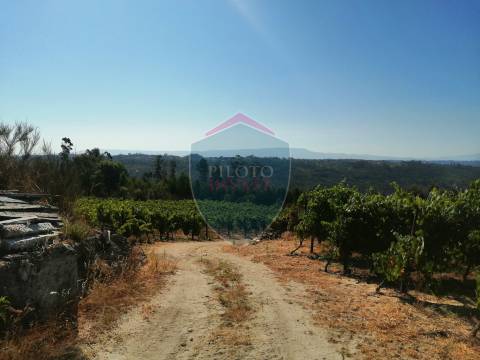 Quinta  Venda em Silgueiros,Viseu