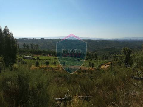 Quinta  Venda em Silgueiros,Viseu