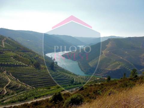 Quintinha  Venda em Valença do Douro,Tabuaço