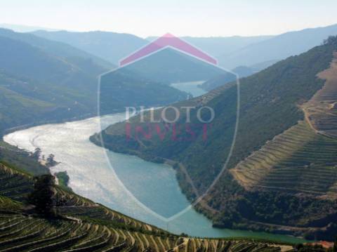 Quintinha  Venda em Valença do Douro,Tabuaço