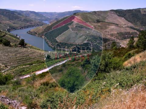 Quintinha  Venda em Valença do Douro,Tabuaço