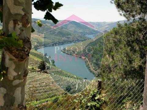 Quintinha  Venda em Valença do Douro,Tabuaço