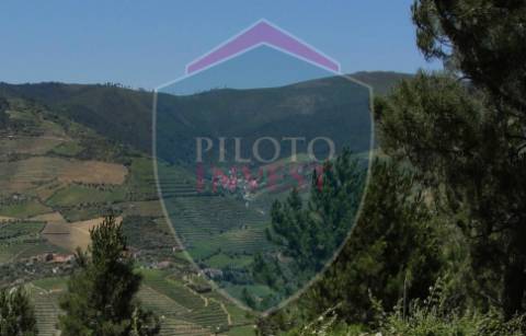Quintinha  Venda em Valença do Douro,Tabuaço