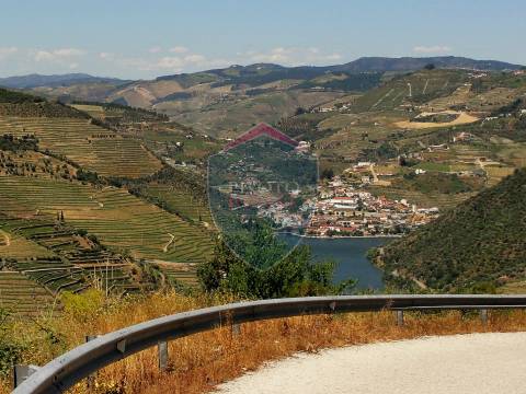 Quintinha  Venda em Valença do Douro,Tabuaço