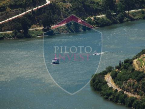 Quintinha  Venda em Valença do Douro,Tabuaço