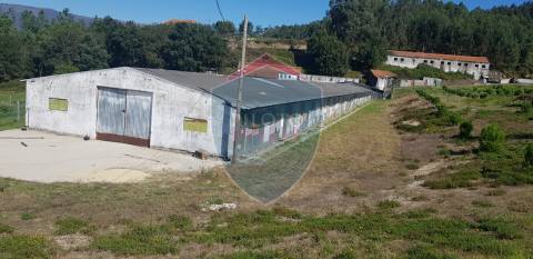 Quinta  Venda em São João da Serra,Oliveira de Frades