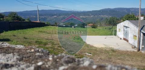 Quinta  Venda em São João da Serra,Oliveira de Frades