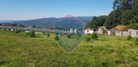 Quinta  Venda em São João da Serra,Oliveira de Frades