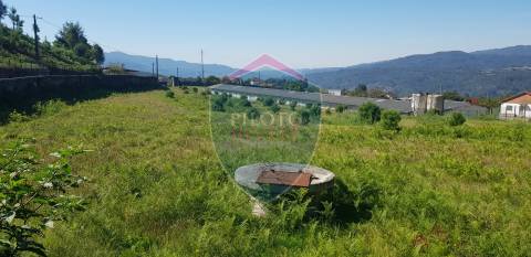 Quinta  Venda em São João da Serra,Oliveira de Frades