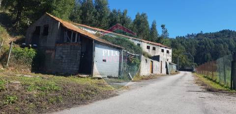 Quinta  Venda em São João da Serra,Oliveira de Frades