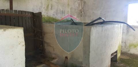 Quinta  Venda em São João da Serra,Oliveira de Frades