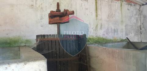 Quinta  Venda em São João da Serra,Oliveira de Frades