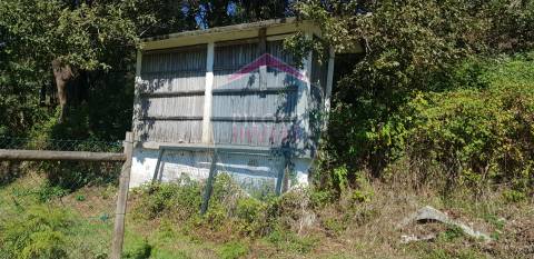 Quinta  Venda em São João da Serra,Oliveira de Frades