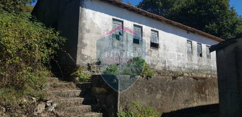 Quinta  Venda em São João da Serra,Oliveira de Frades