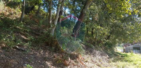 Quinta  Venda em São João da Serra,Oliveira de Frades