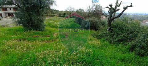 Lote de Terreno  Venda em São João de Lourosa,Viseu