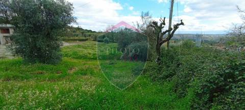 Lote de Terreno  Venda em São João de Lourosa,Viseu