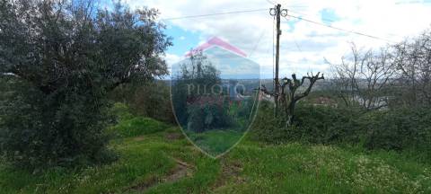 Lote de Terreno  Venda em São João de Lourosa,Viseu