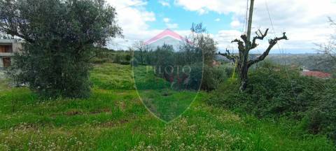 Lote de Terreno  Venda em São João de Lourosa,Viseu