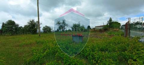 Lote de Terreno  Venda em Silgueiros,Viseu