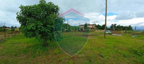 Lote de Terreno  Venda em Silgueiros,Viseu