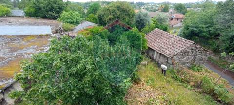 Terreno  Venda em Boa Aldeia, Farminhão e Torredeita,Viseu