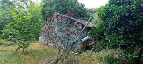 Terreno  Venda em Boa Aldeia, Farminhão e Torredeita,Viseu