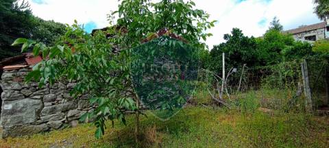 Terreno  Venda em Boa Aldeia, Farminhão e Torredeita,Viseu