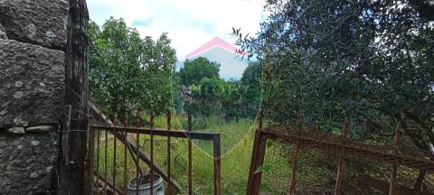 Terreno  Venda em Boa Aldeia, Farminhão e Torredeita,Viseu