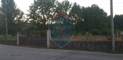 Terreno Rústico  Venda em Repeses e São Salvador,Viseu