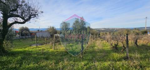 Terreno Para Construção  Venda em Silgueiros,Viseu