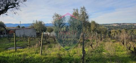 Terreno Para Construção  Venda em Silgueiros,Viseu