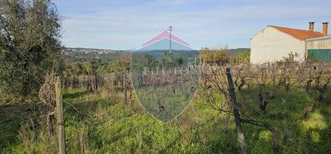 Terreno Para Construção  Venda em Silgueiros,Viseu