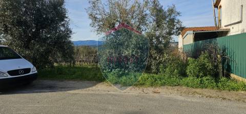 Terreno Para Construção  Venda em Silgueiros,Viseu